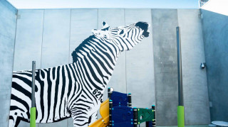 Sonsie Studios mural of a zebra with the number 624 on a wall at Karreenga Prison