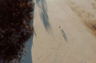 Solitary couple casting long shadows on a vast sandy beach by Todd and Alyda McGaw