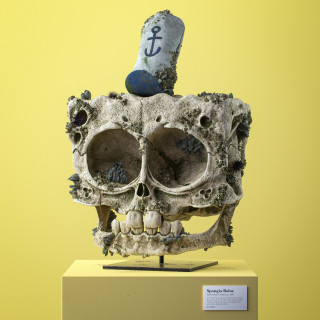 Filip Hodas's Cartoon Fossils rendering of a square skull with an anchor hat