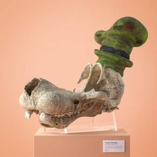 Cartoon Fossils rendering by Filip Hodas featuring a fossilized cartoon character skull