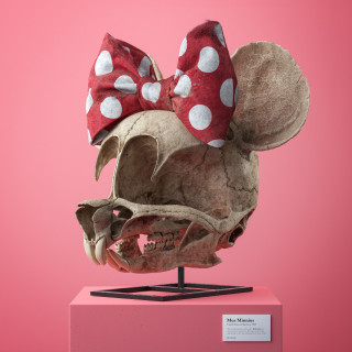 Cartoon Fossils by Filip Hodas, a skeletal skull with a polka dot bow
