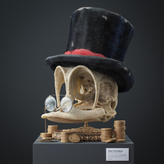 Filip Hodas's Cartoon Fossils: skull with top hat and spectacles on coins