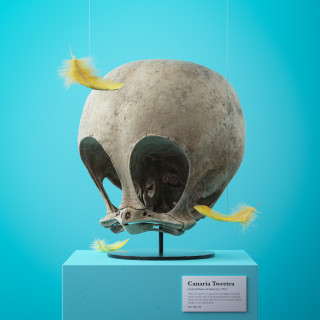 Filip Hodas's 3D rendering of a large bird skull with yellow feathers on a blue background