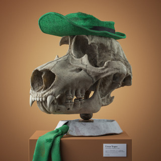 Cartoon Fossils rendering by Filip Hodas of a bear skull with a green hat and tie