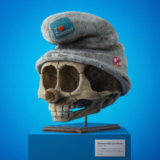 Fossilized skull wearing a gray hat with 'I love shrooms' text, by Filip Hodas
