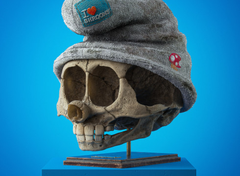 Fossilized skull wearing a gray hat with 'I love shrooms' text, by Filip Hodas